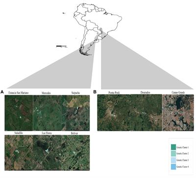 Frontiers | Population genetic analyses reveal host association